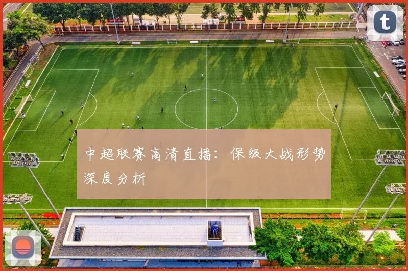 中超联赛高清直播:保级大战形势深度分析