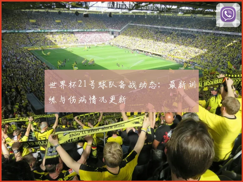 世界杯21号球队备战动态：最新训练与伤病情况更新