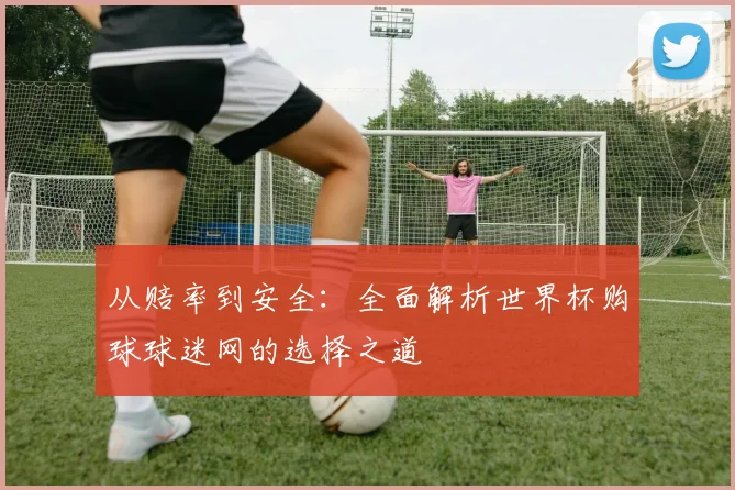 从赔率到安全：全面解析世界杯购球球迷网的选择之道