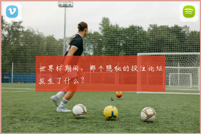 世界杯期间，那个隐秘的投注论坛发生了什么？
