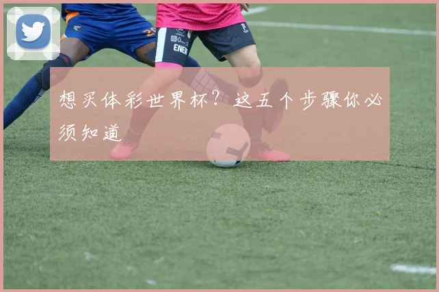 想买体彩世界杯？这五个步骤你必须知道